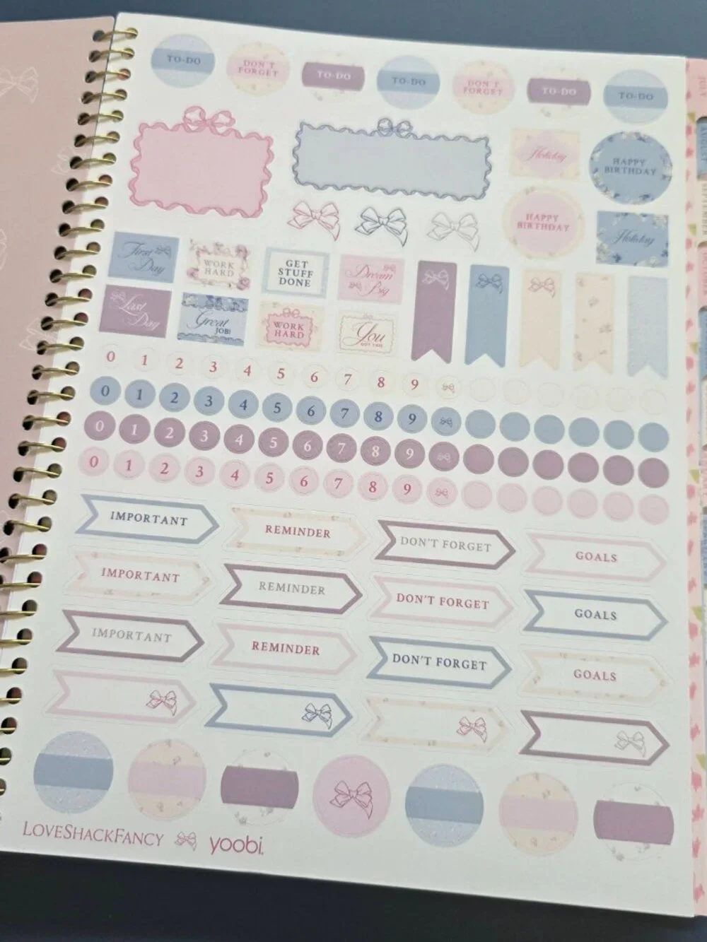 LoveShackFancy x Target - Yoobi Everblooming Rosettes planner case ruffles